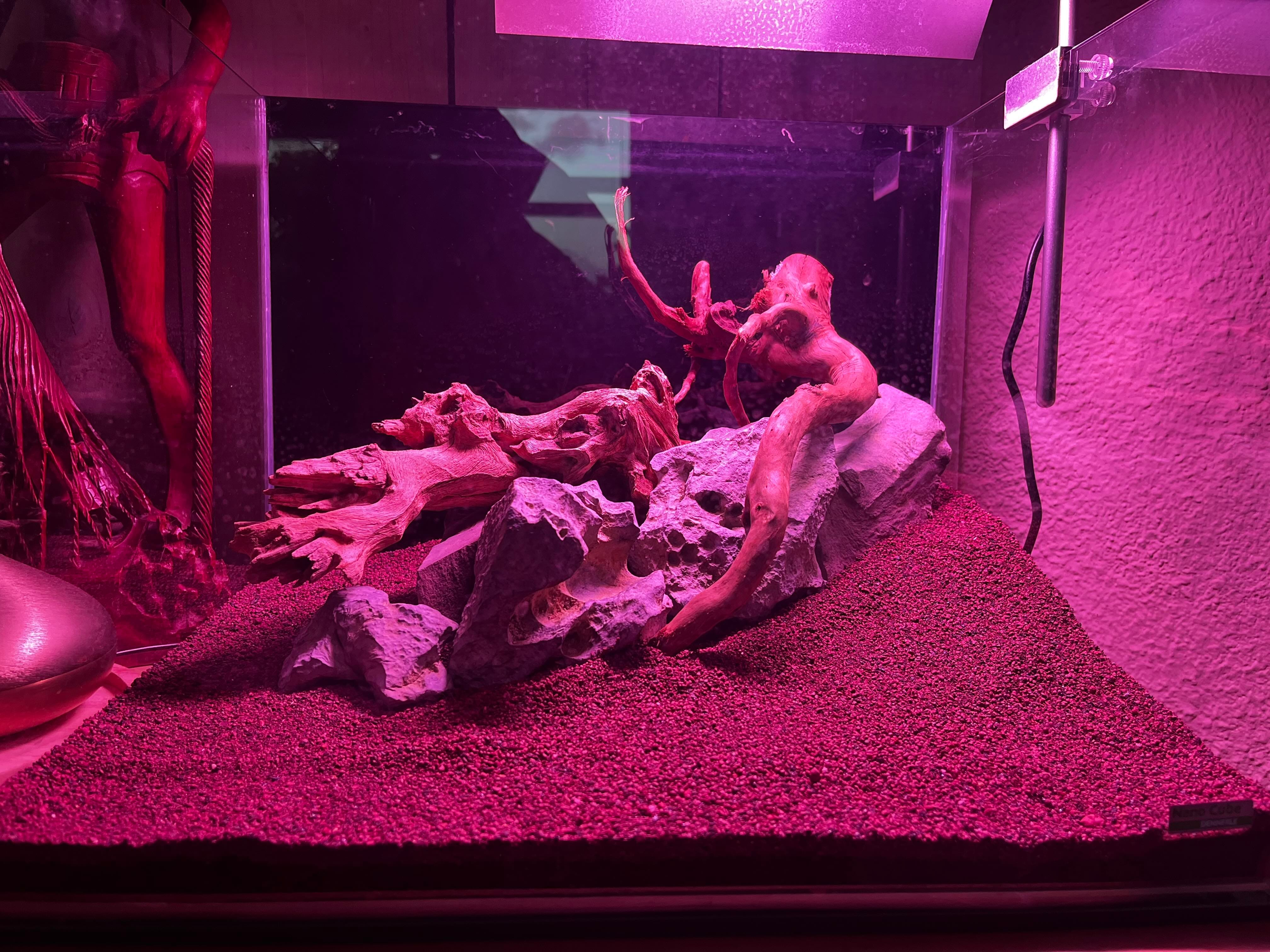 New Aquarium Project: Hardscape Complete!